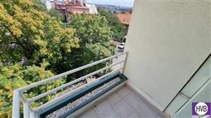 photo_12