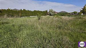 photo_6