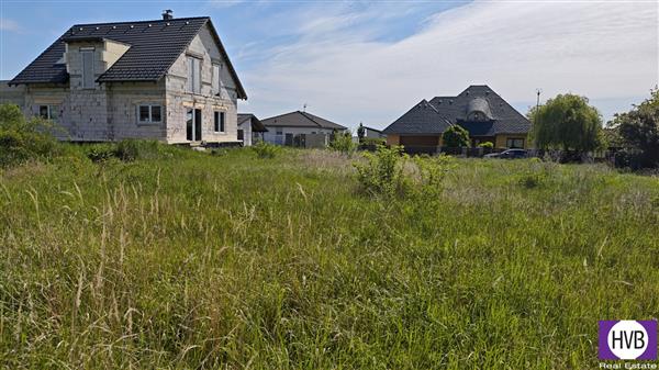 photo_7