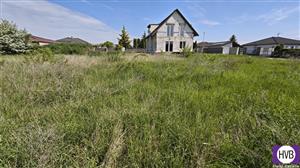 photo_10