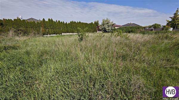 photo_6