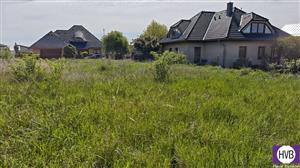 photo_8