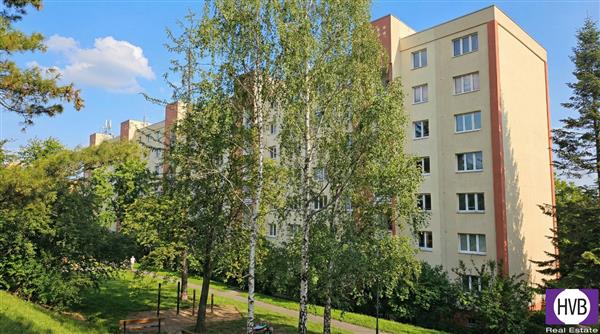 photo_3