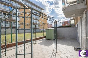 photo_6