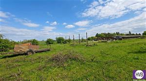 photo_8