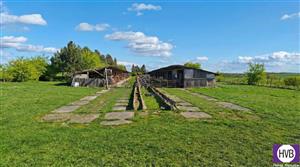 photo_3