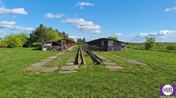 photo_3
