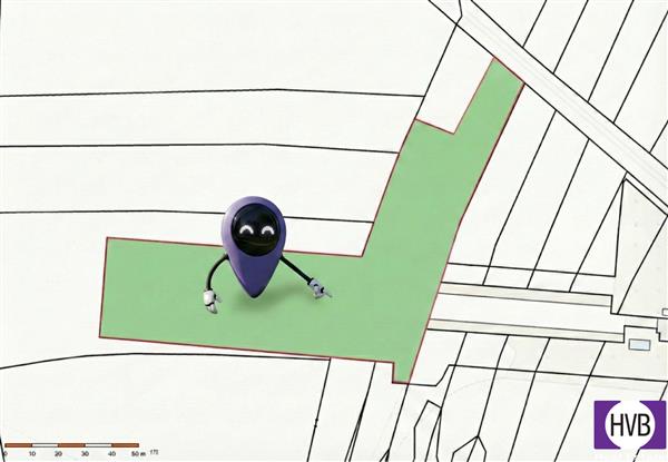 photo_4