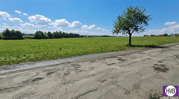 photo_6