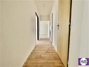 photo_7