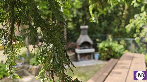 photo_12