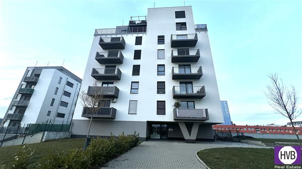 photo_1