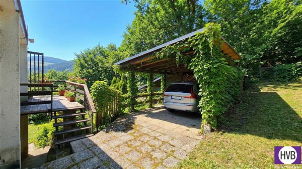 photo_3