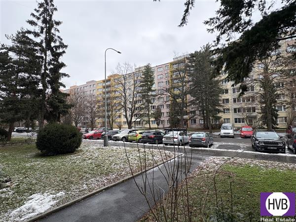 photo_2