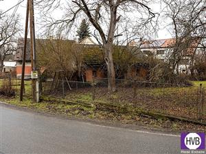 photo_6