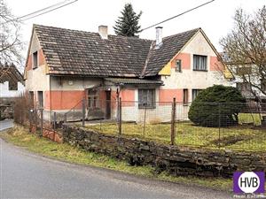 photo_7