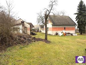 photo_8