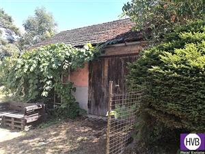photo_4