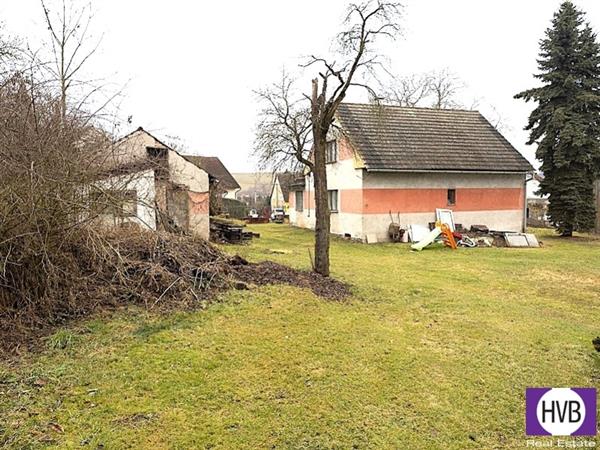 photo_8