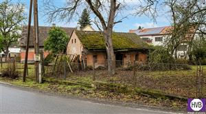 photo_5