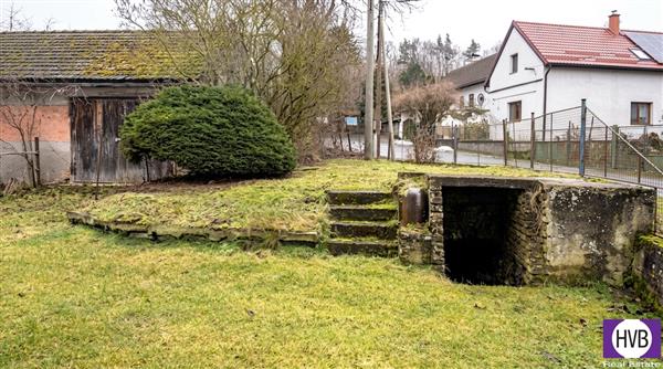 photo_8