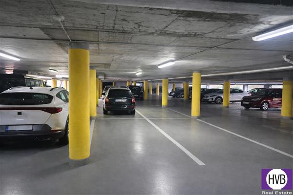 photo_2