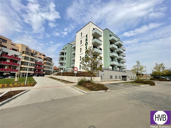 photo_1
