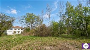 photo_6