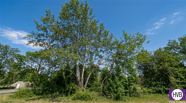 photo_5
