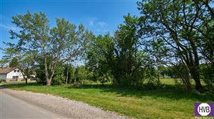 photo_10