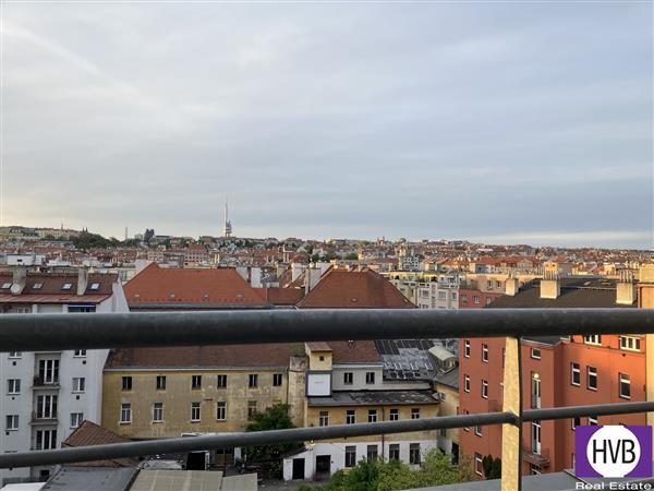 photo_7