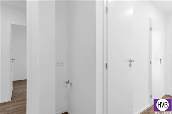 photo_5