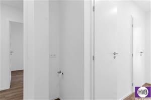 photo_5