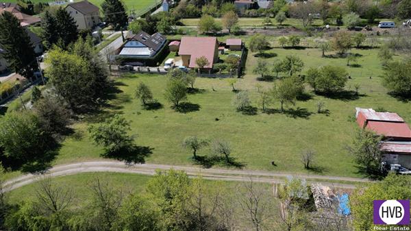 photo_6