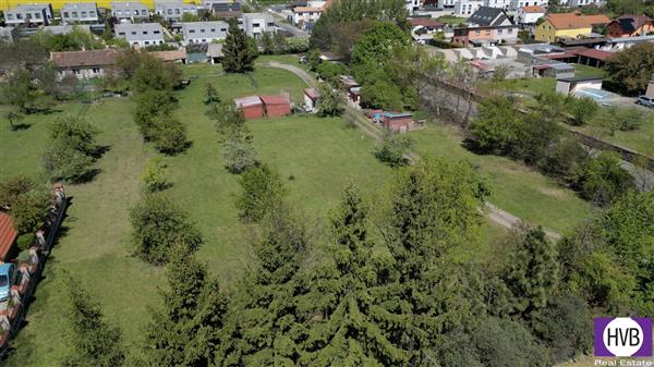 photo_1