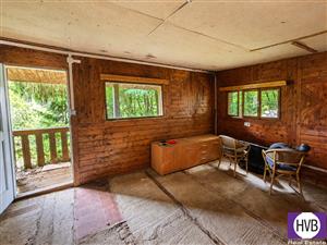 photo_1