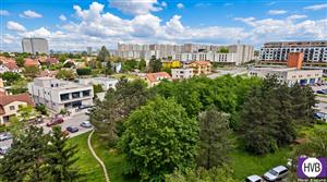 photo_5