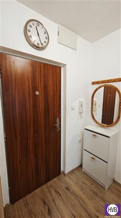 photo_11