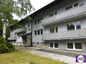 photo_6