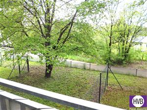 photo_6