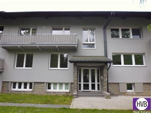 photo_8