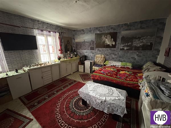 photo_4