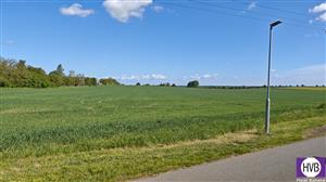 photo_2