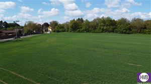 photo_5