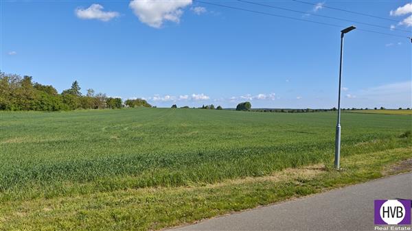 photo_2