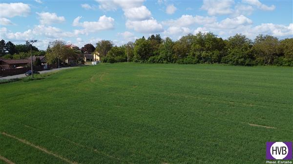 photo_5