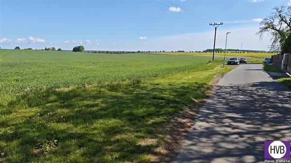 photo_7
