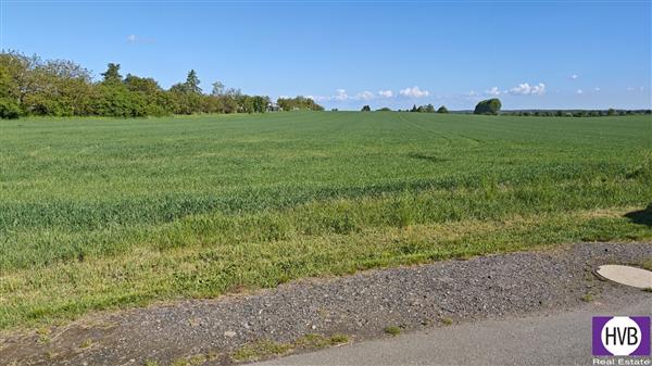 photo_8