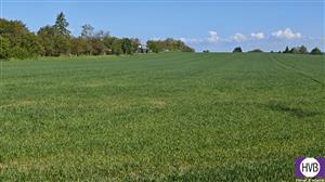 photo_9