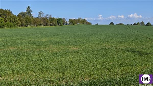 photo_9